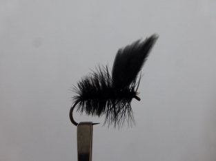 Size 18 Black Moth  Barbless